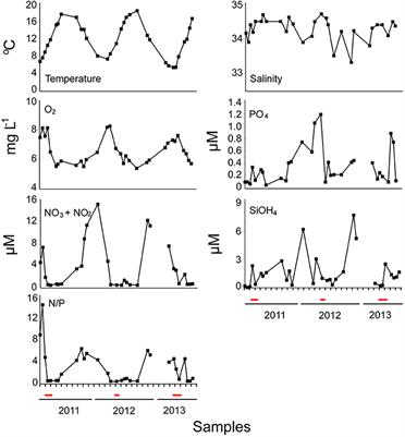 Parasitic Eukaryotes in a Meso-Eutrophic Coastal System with Marked Phaeocystis globosa Blooms